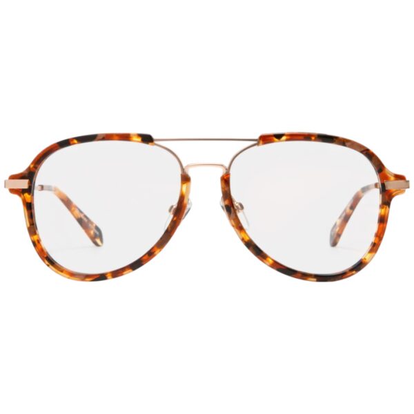Eyebobs Readers